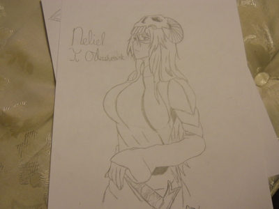  Two words: Neliel TuOdershvank. (drew this myself) Yes, there are fanboys.