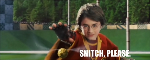 Harry Potter memes - aléatoire photo (28633209) - fanpop