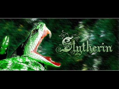  I am Slitherin