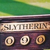  I'm in a Slytherin. :-)