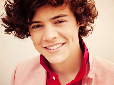  Harry is my お気に入り member But i 愛 all of them!!!! <3