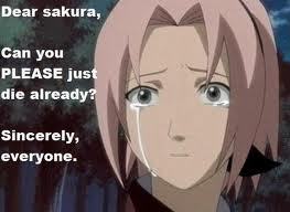  Most Hated Character bạn ask? Excuse me for my opinion but there's no other anime character I hate thêm than Sakura (or should I say SUCKURA) Haruno from Naruto. She's a jerk who's practically useless in battles 'cause she blew all of her strength on beating up poor Naruto 24/7 365 days of the year. She even bullied Hinata just because she got her own end credits for once. She can heal, bạn say? SO WHAT. There are always some OTHER medical ninja in the village anyway. There's even Tsunade to boot. WHO NEEDS HER?