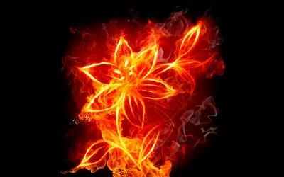  Fire. सूट्स my personality, that's what Axel controls, it can create (cook, after a wildfrie the plants grow better), it can destroy, and let's face it, it's freaking awesome. सेकंड would be water, third would be darkness. BURN, BABY, BURN! XD