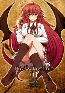  Rias Gremory from High School DxD