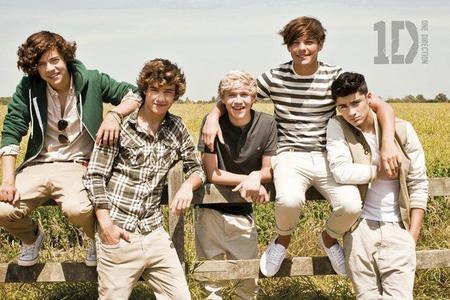 ♥One Direction♥
I love all of them