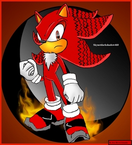  Skynetdarkshadow460 The Hedgehog Age: 15 Likes to help others and has a girlfriend name Sonia the Hedgehog (a made up one not the one from underground) Power: Dark powers