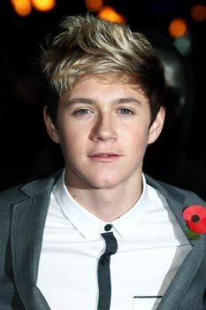  Why would Niall quit? He's a really good guitar, gitaa player and has a really cute Irish accent :)