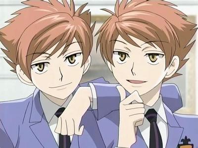 The Hitachiin Twins from Ouran Highschool Host Club at first i didn't like them now they are my favorite guy anime characters