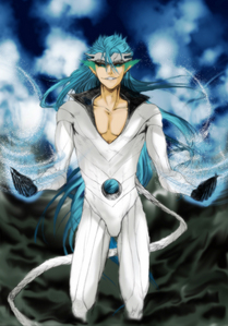  i Liebe Grimmjow! i Liebe his craziness! An i absolutely Liebe him in his release form oder resurreccion, pantera!