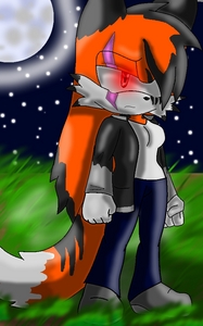  at first i started out with a rabbit much like Cream. but i soon made many update changed the speacies and color and soon personallity till i got Tailsica the fox. i was gonna go for a pheonix but i desided no bird so i ended up with a rubah, fox XD