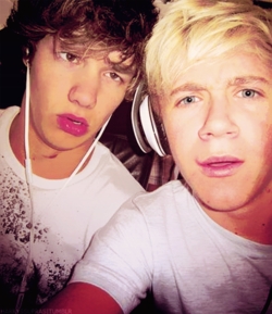 Liam and Niall :)