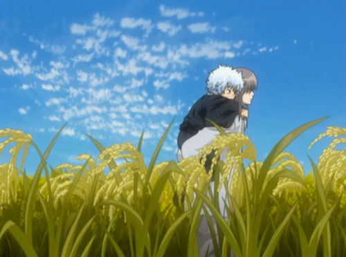  Gintoki Sakata! before being the alak we all know and pag-ibig he had a very interesting past He was orphaned in the times of the joui war and was found sa pamamagitan ng Shouyo after hearing about a corpse eating demon (namely Gintoki scavenging things from corpses left sa pamamagitan ng the war) Shouyo took Gintoki with him, then Gintoki trained and studied the way of the samurai along with Katsura,Takasugi and the other orphans Shouyo took in after that with orders from the tendoshu the shogun had Shouyo arrested and the school burned leaving only the teachings of Shouyo to Gintoki and the others. After a few years, along with Katsura, Takasugi and Sakamoto, Gintoki took up arms to rebel against the amanto and he was nicknamed the "Shiroyasha" because of his white clothing, white hair and his awesome swordsmanship, Sadly they Nawawala the war and with that Gintoki found it pointless to keep fighting against something they can't win against and also how this war was just taking away their mga kaibigan one after another, so he disappeared after the war was lost.... So then after that he became the Gintoki we all know and pag-ibig x3