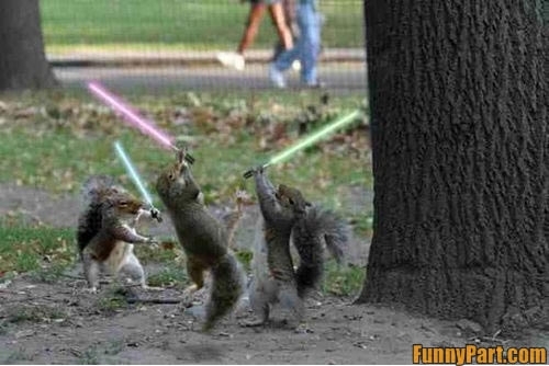 This one time at a tree house a squirrel stuck a lightsaber up your nose, oh you remember that?