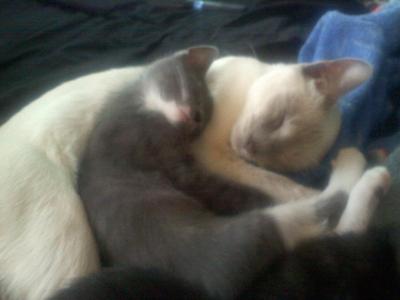  Kianna & Fry <3 Mommy & Baby (: