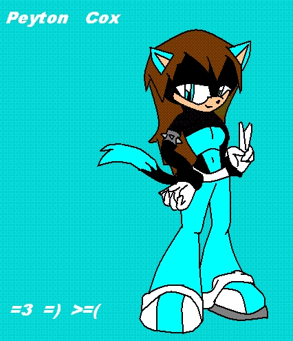 name:Peyton the fox
age:15
likes:shadow and silver,burritos and guns
dislikes:girly stuff and scourge


