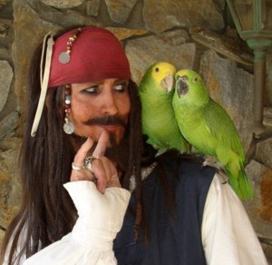  Found this one on Goggle and it's somebody imitating Jack but he looks alot like him. amor the parrots!