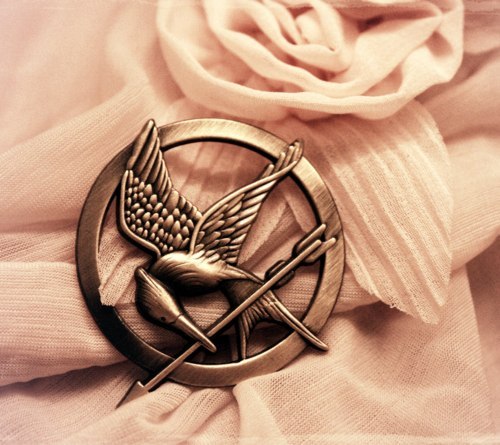  The Hunger Games Trilogy OMG.