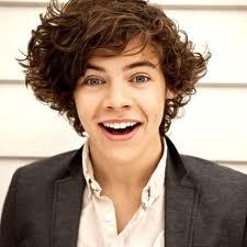  Curly hair,big beautiful green eyes,perfect smile ITS HARRY STYLES!!! <3