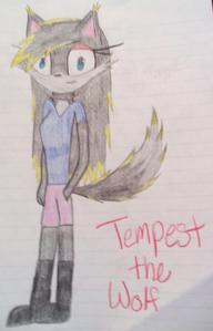 Tempest- O_O who r u?