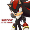 I'd say, "Shadow! You are amazing! Of course I would marry you! You are the one I've been looking for this whole time!"  And he'd reply, "Alright. Let's get married!"