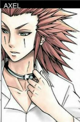  Axel from Kingdom Hearts is my FBF I have always loved Link from LoZ I think Sebastian from Kuroshitsuji is one HELL of a hot butler! And I had a MAJOR crush on Eragon from the Inheritance Cycle.