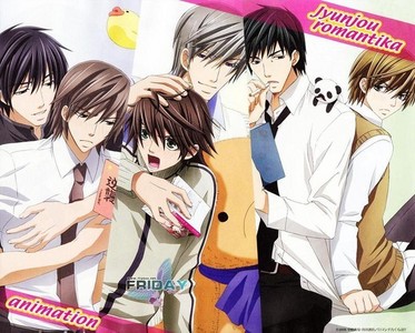 Mines a yaoi Anime, doest that still count? 

If it does, Junjo Romantica :)