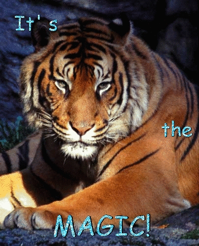  Tiger! :D