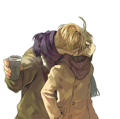  1.UsUk. :I 2. SuFin. 3. LietPol Those are the ONLY Hetalia pairings I ship. At all. FrUk.... Its a weird subject. I support it too and completely see it happening, and I wouldn't be disappointed. But I have always seen the bond between America and England being deeper... mostly Von instinct. Fuss all Du want, this is MY OTP and MY opinion. And I just find this picture freakin adorable