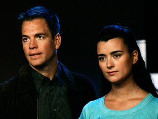  help please i am looking for this fanfiction story- ziva takes in 2 kids after the are left parent less on a case. there is and a boy and a girl. tony and ziva slowly get together. in later chapters when tony and ziva enroll the kids in school