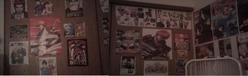  Post a 随意 pic of your room