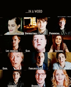  What is one word that sums up Harry Potter for you?
