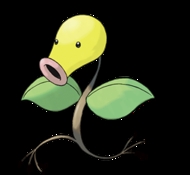 how do you catch bellsprout in pokemon black?