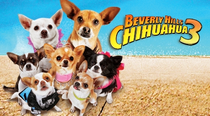  Beverly Hills Chihuahua3 coming THIS FALL!!! so cute.