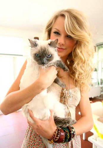 post a pic of Taylor with a cat!