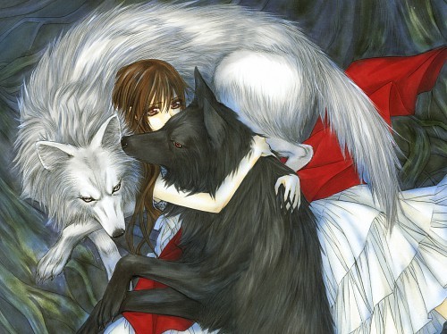  How do あなた want Vampire Knight to end?