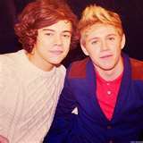 hey fans from niall and harry do you want a fanfiction ?