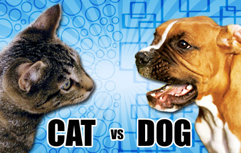 *Cats or Dogs?* ^^