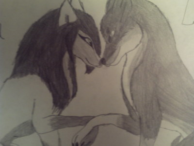  Who Likes My Drawing?