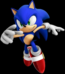 Do you want SEGA to make more episodes of Sonic X?