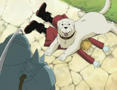  Post an anime character being squished por a dog. xD