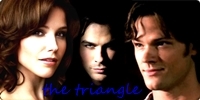  would anyone be interested im my new club brooke/sam and damon?http://www.fanpop.com/spots/triangle-brooke-sam-and-damon