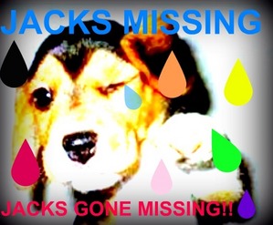  Jacks missing
