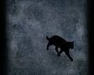  "i saw a black cat running by"