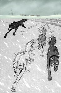  Wolf's Rain; The Pack in animé and manga