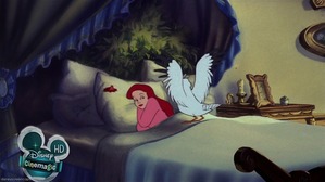  Scuttle waking up Ariel