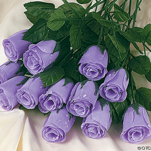  Lavender roses for who?