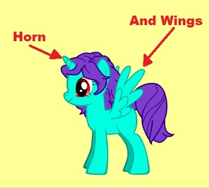 An example of an Alicorn