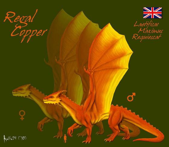 Regal Copper by Kalia24