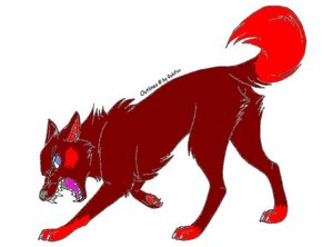 Aroan, wolf form