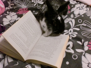 shadow trying to read